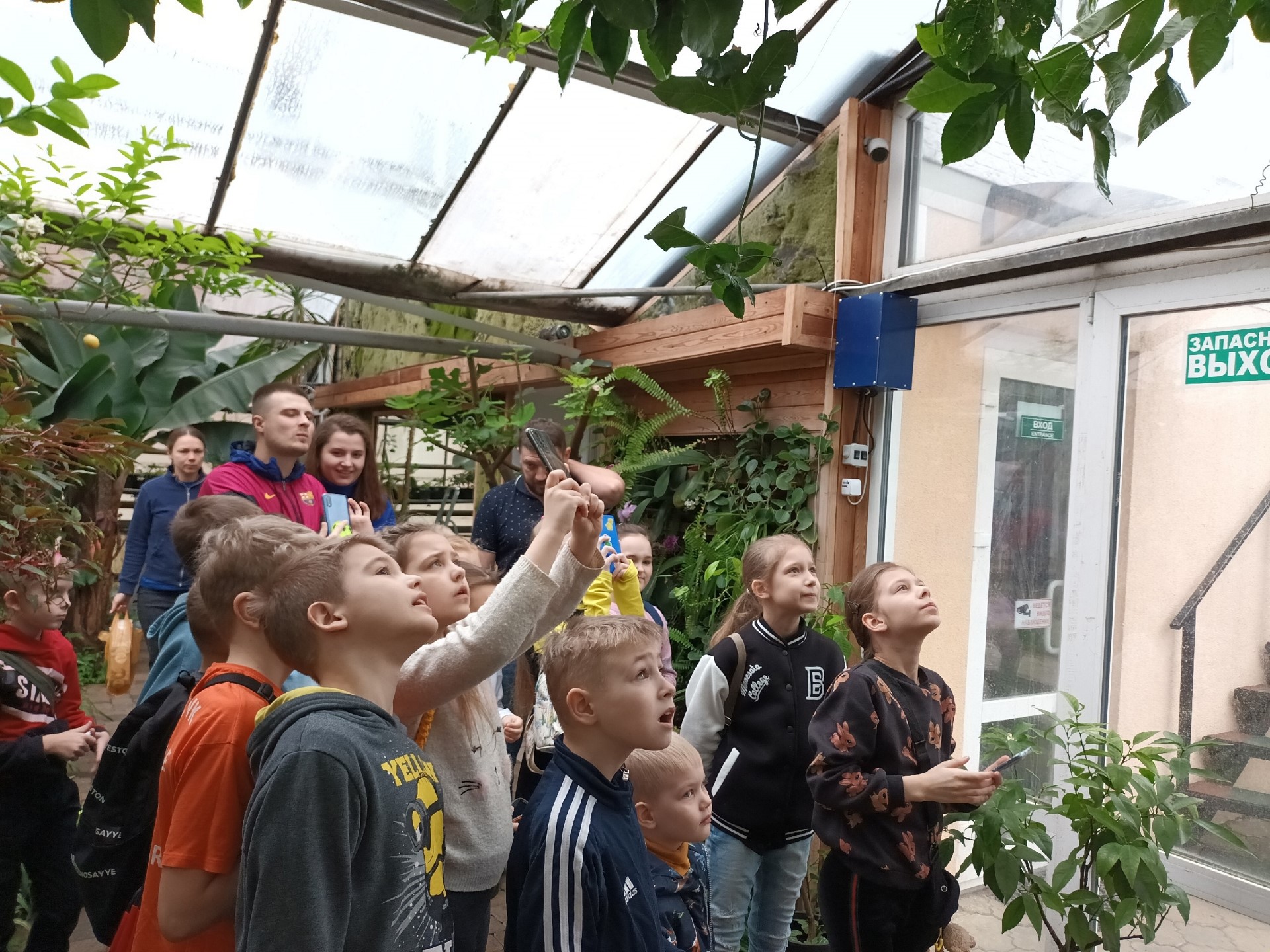 Учащиеся 3А посетили Саратовский лимонарий.