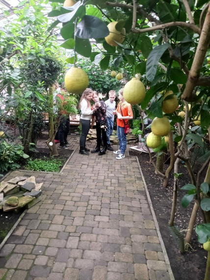 Учащиеся 3А посетили Саратовский лимонарий.